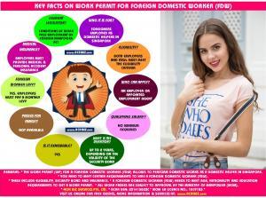 An image containing facts about domestic helper